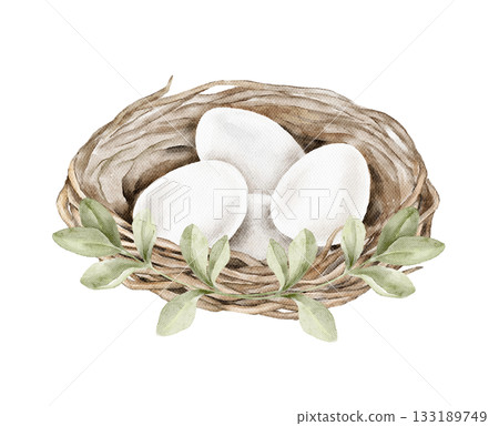 Watercolor illustration of a woven nest holding white eggs with surrounding green leaves. Ideal for Easter cards, packaging, labels, posters, spring decor, and natural themed creative projects. 133189749