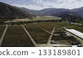 Aerial view of vineyard and winery in mountain valley 133189801