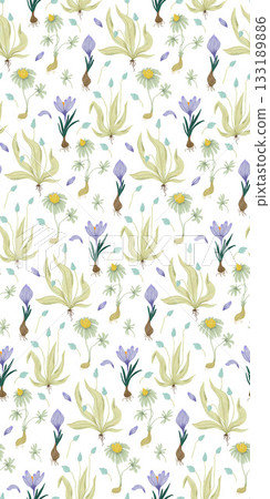 Delicate chalk pattern with spring garden primroses on a white background chamomile, crocus, muscari 133189886