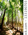 Kyoto Prefecture, Fushimi Inari Taisha Shrine, Bamboo Underpass, Fukakusa Yabunouchicho, Fushimi Ward, Kyoto City, February 2022 133190703