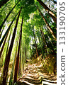 Kyoto Prefecture, Fushimi Inari Taisha Shrine, Bamboo Underpass, Fukakusa Yabunouchicho, Fushimi Ward, Kyoto City, February 2022 133190705