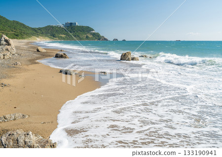 Koijigahama Beach, the tip of the Atsumi Peninsula, Aichi Prefecture 133190941