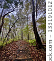 雨中落葉鋪成的小路 133191012