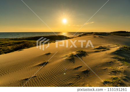 靜岡縣中田島沙丘 - 日落景色 靜岡縣中田島沙丘 - 日落景色 133191261