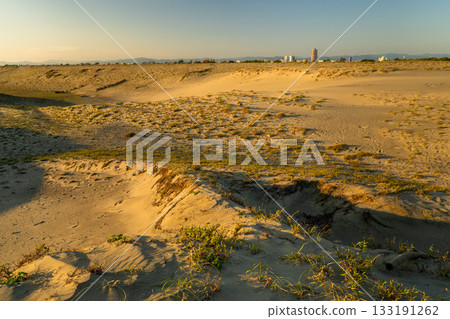 靜岡縣中田島沙丘 - 日落景色 133191262