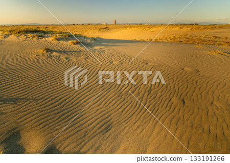 靜岡縣中田島沙丘 - 日落景色 133191266