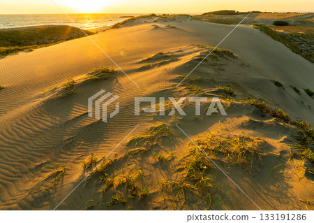 <<Shizuoka Prefecture>> Nakatajima Sand Dunes - Sunset Scenery 133191286