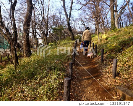 Walk in the park 133191347