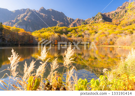 長野縣：鏡池與戶隱的秋色美景 133191414