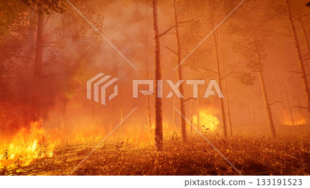 Burning trees in the forest due to wildfire, 3d rendering 133191523