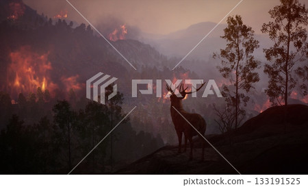 deer watching on the mountain forest hill wildfire burns a high mountain forest 3d rendering deer watching on the mountain forest hill wildfire burns a high mountain forest 3d rendering 133191525