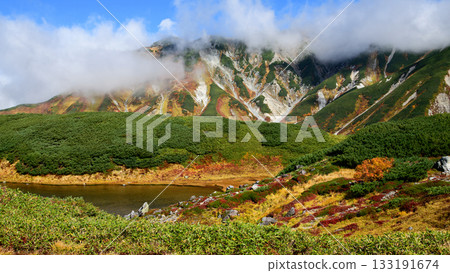 Autumn at Murododaira: Beautiful greenery of bamboo grass and creeping pines, Midorigaike Pond, and the magnificent view of the Tateyama mountain range. Tateyama Kurobe Alpine Route, Toyama Prefecture 133191674