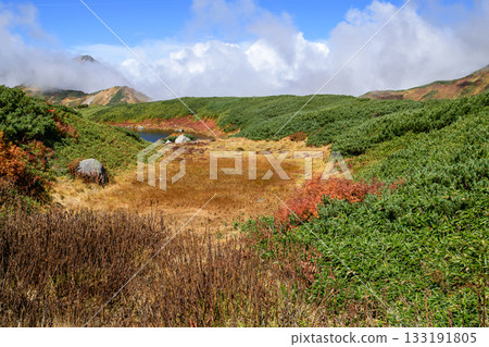 Autumn at Murododaira, with the beautiful greenery of creeping pines and Mount Oku-Dainichi in the distance, Tateyama Kurobe Alpine Route, Toyama Prefecture 133191805