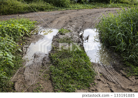Wet Gravel Road With Grass Alongside After Rain, A moody ad photo of a glistening gravel road edged with lush grass after rain, perfect for travel campaign or countryside documentary. Wet Gravel Road With Grass Alongside After Rain, A moody ad photo of a glistening gravel road edged with lush grass after rain, perfect for travel campaign or countryside documentary. 133191885