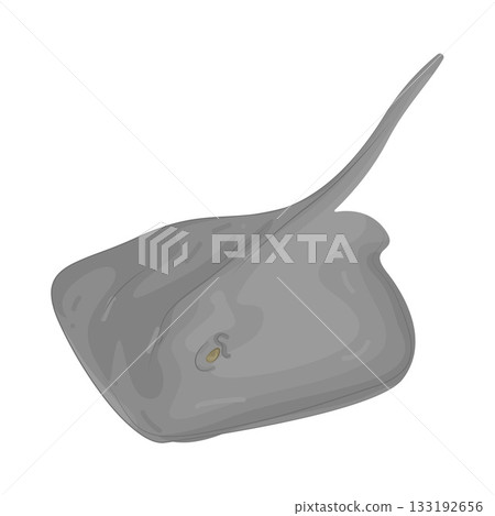 Illustration of stingray Illustration of stingray 133192656