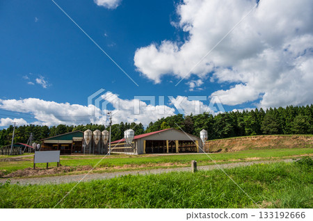 雫石鄉村景觀:廣闊的農田 雫石鄉村景觀:廣闊的農田 133192666