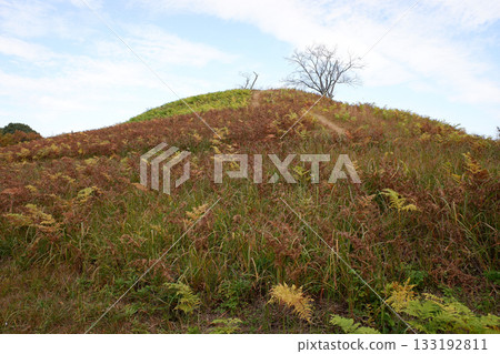 Chiba Prefecture Ryukakuji Burial Mounds and Iwaya Burial Mound 133192811