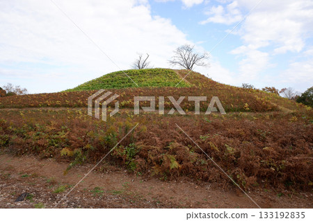 千葉縣龍閣寺古墓群及岩屋古墓群 千葉縣龍閣寺古墓群及岩屋古墓群 133192835