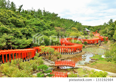 青森縣高山稻荷神社千鳥居 青森縣高山稻荷神社千鳥居 133192984