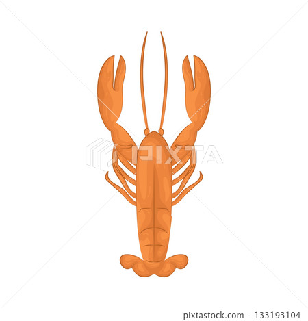 Illustration of lobster Illustration of lobster 133193104