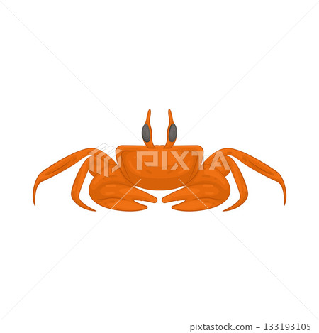 Illustration of crab Illustration of crab 133193105
