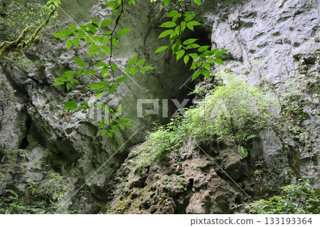 岡山縣新見市草間町羅生門1號 岡山縣新見市草間町羅生門1號 133193364
