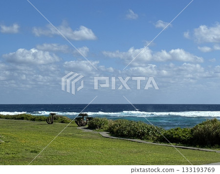 Okinawa, blue water, marine 133193769