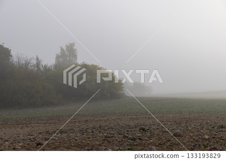 an agricultural field plowed in autumn for spring sowing, cloudy weather in the autumn season, fog during large temperature fluctuations in autumn an agricultural field plowed in autumn for spring sowing, cloudy weather in the autumn season, fog during large temperature fluctuations in autumn 133193829