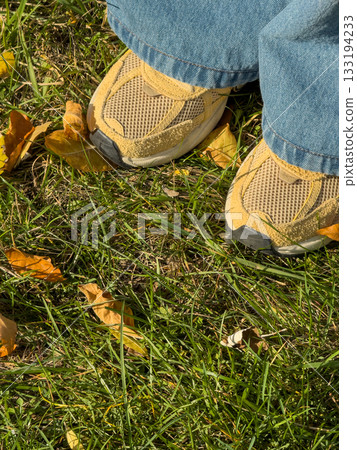 Yellow Sneakers Blue Jeans Autumn Grass Closeup 133194233