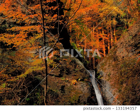 晨曦將森林和瀑布染成紅色 (afr20251112063801) 晨曦將森林和瀑布染成紅色 (afr20251112063801) 133194357