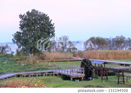 Kasumigaura Comprehensive Park scenery 133194508