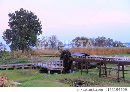 Kasumigaura Comprehensive Park scenery 133194509