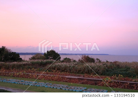 Kasumigaura Comprehensive Park scenery 133194510