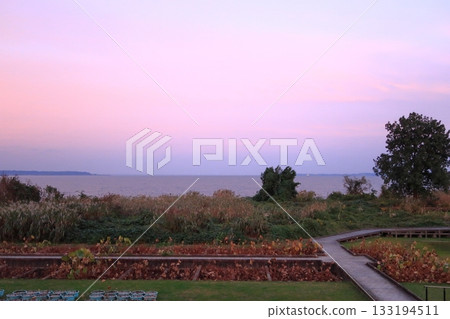 Kasumigaura Comprehensive Park scenery 133194511