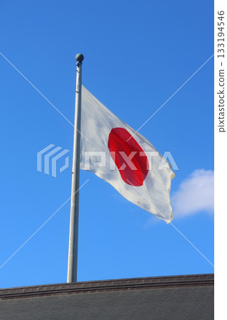 Izumo Taisha Shrine and the Japanese flag (Izumo City, Shimane Prefecture) 133194546