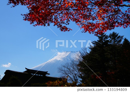 Fuji and autumn leaves Fuji and autumn leaves 133194809