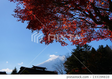 Fuji and autumn leaves Fuji and autumn leaves 133194810