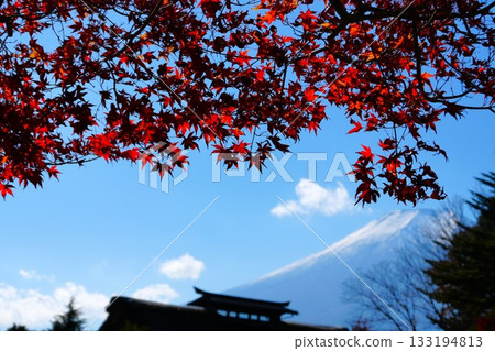 富士和秋葉 富士和秋葉 133194813