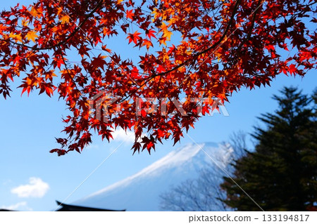 Fuji and autumn leaves Fuji and autumn leaves 133194817
