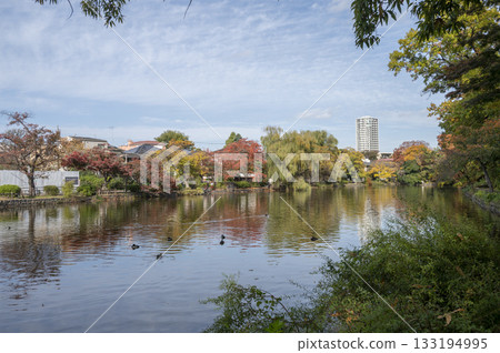 Ishigami公園公園池塘 133194995