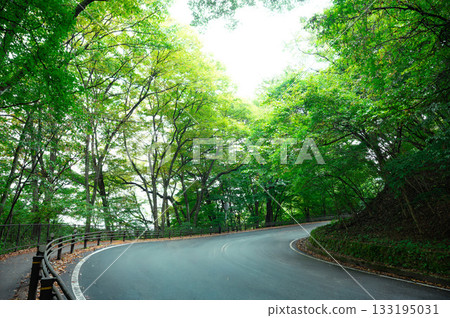 彎曲的山路 彎曲的山路 133195031