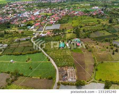 Aerial view of highlands with tea plantations. Tea estates and farmland in Sumatra. Kayu Aro, Indonesia. 133195240
