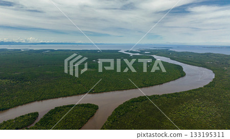Aerial drone of wetlands with mangroves and swamps. Menumbok forest reserve. Borneo, Sabah, Malaysia. 133195311