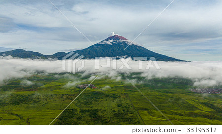 Top view of tea plantations on hillsides and Mount Kerinci. Tea estate landscape. Kayu Aro, Sumatra, Indonesia. Top view of tea plantations on hillsides and Mount Kerinci. Tea estate landscape. Kayu Aro, Sumatra, Indonesia. 133195312