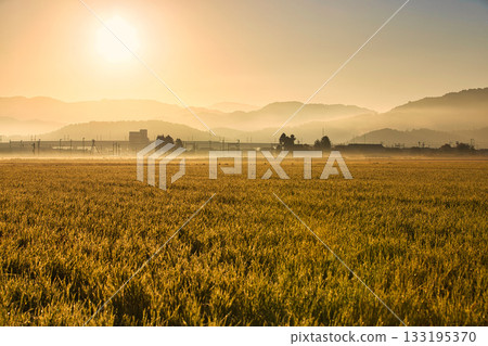 晨霧中閃耀著鄉村景色 晨霧中閃耀著鄉村景色 133195370