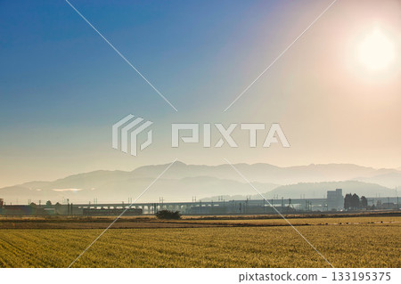 Rural scenery shining in the morning mist Rural scenery shining in the morning mist 133195375