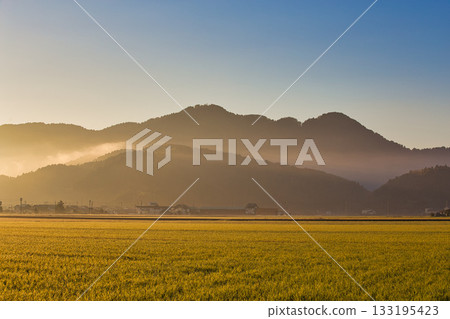 Rural scenery shining in the morning mist Rural scenery shining in the morning mist 133195423