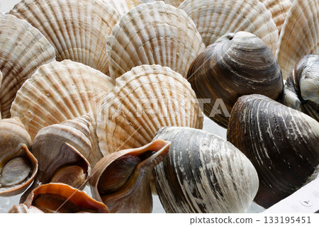 Assorted live shellfish Assorted live shellfish 133195451