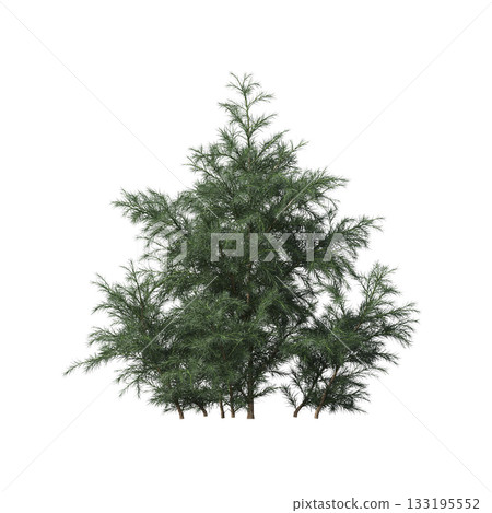 deciduous tree, isolate on a transparent background, 3d illustration 133195552