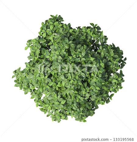 deciduous tree, isolate on a transparent background, 3d illustration 133195568